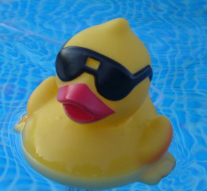 Creative Commons rubber duck by Jessica Bee_Flickr