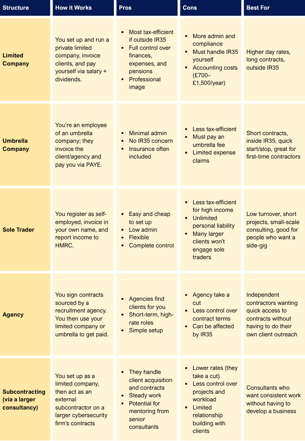A table showing the different ways a cybersecurity consultant can set up their business