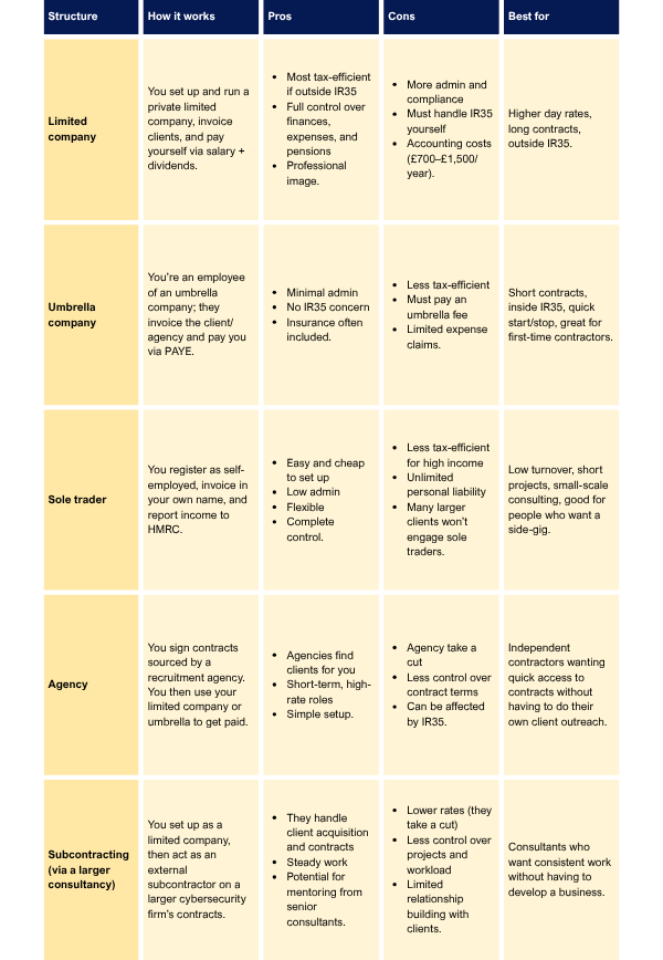 A table showing the different ways a cybersecurity consultant can set up their business